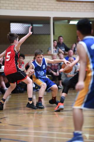 Canons Basketball Gallery