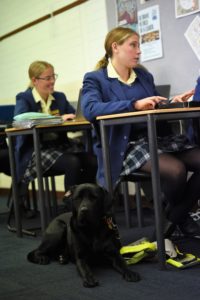 Tegan's guide dog is in a class of his own