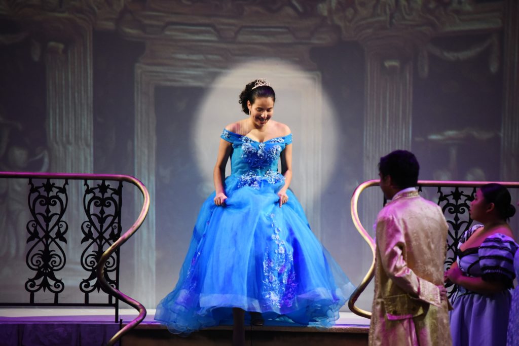 Cinderella: The Enchanted Edition